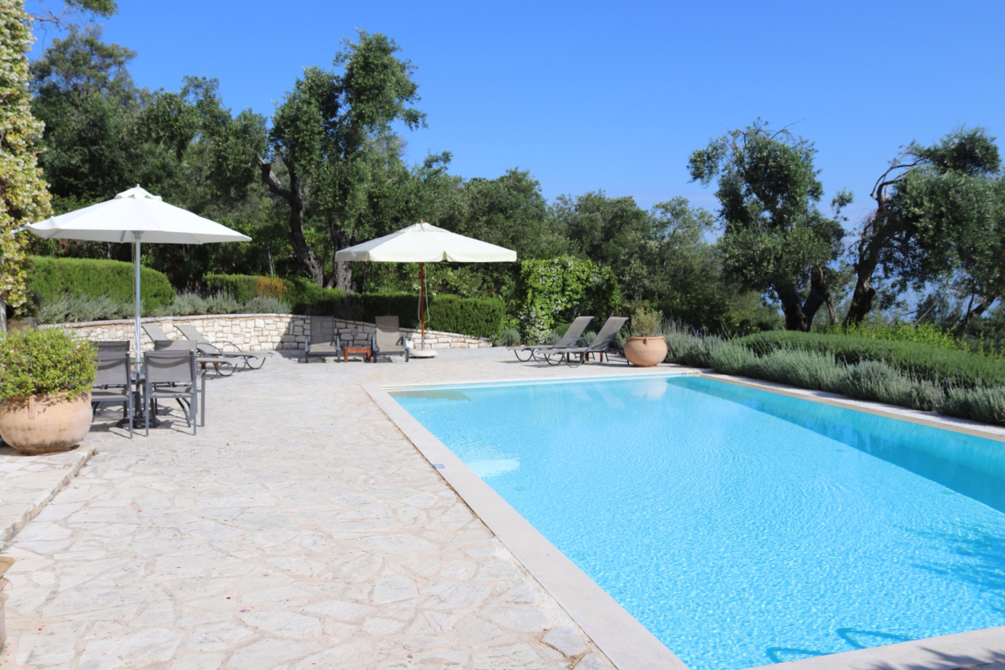 Pool terrace with loungers